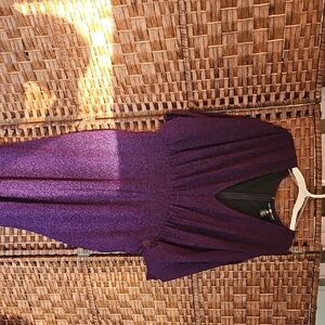 Ashley Stewart Glittery Deep Purple Long Sleeve V-Neck Dress